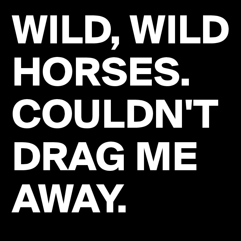 WILD, WILD HORSES. COULDN'T DRAG ME AWAY.
