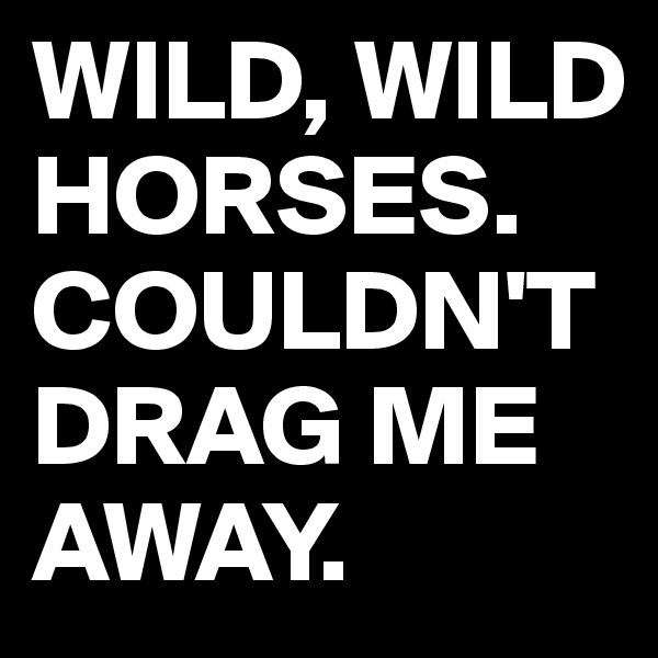 WILD, WILD HORSES. COULDN'T DRAG ME AWAY.