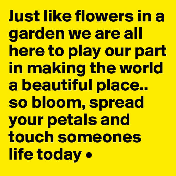 Just like flowers in a garden we are all here to play our part in making the world a beautiful place..
so bloom, spread your petals and touch someones life today •