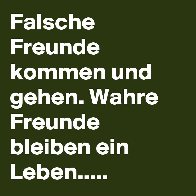 Freunde falsche False Friends