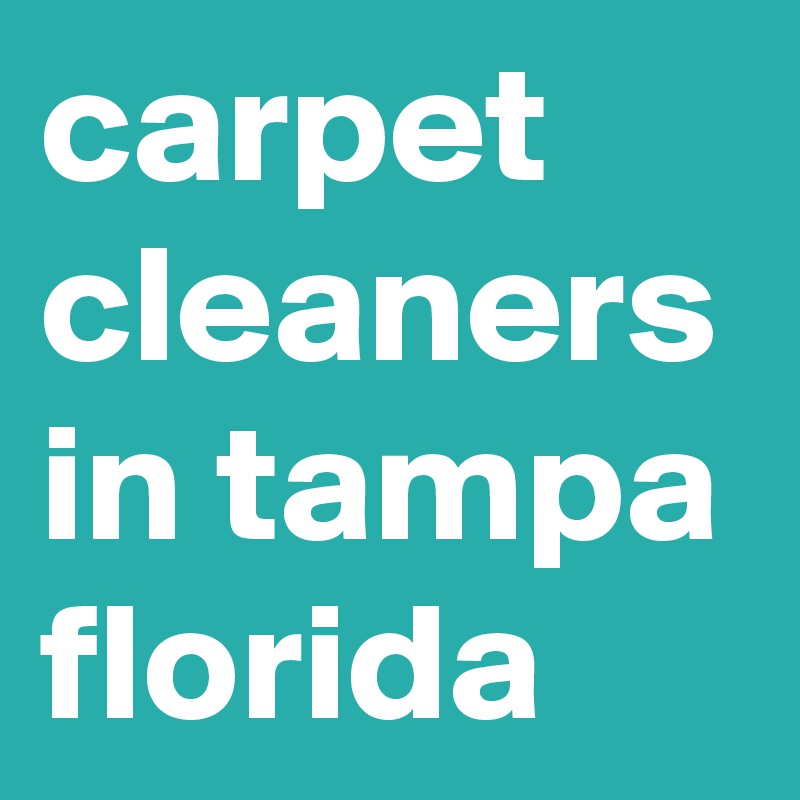 carpet cleaners in tampa florida
