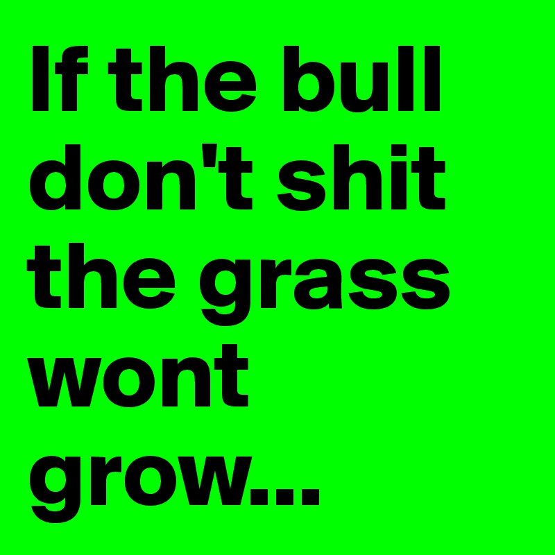 If the bull don't shit the grass wont grow...