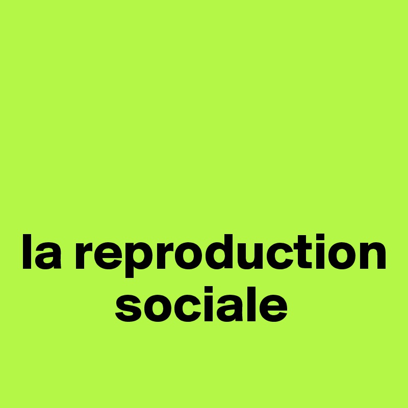 



la reproduction     
         sociale