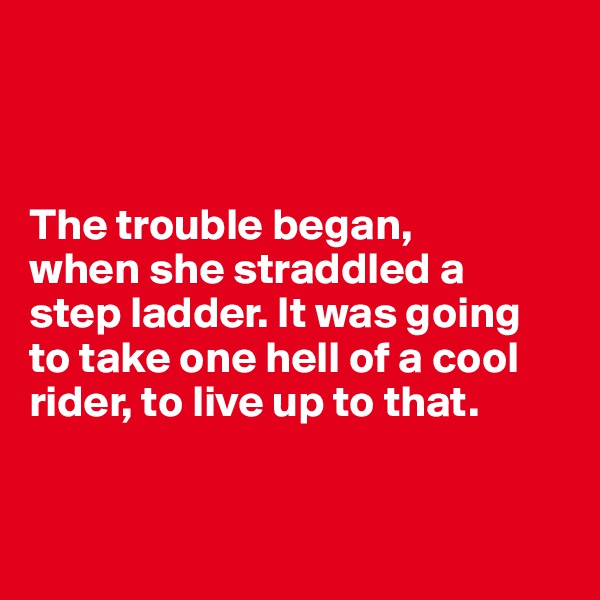 



The trouble began, 
when she straddled a 
step ladder. It was going to take one hell of a cool rider, to live up to that. 


