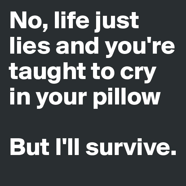 No, life just lies and you're taught to cry in your pillow

But I'll survive.