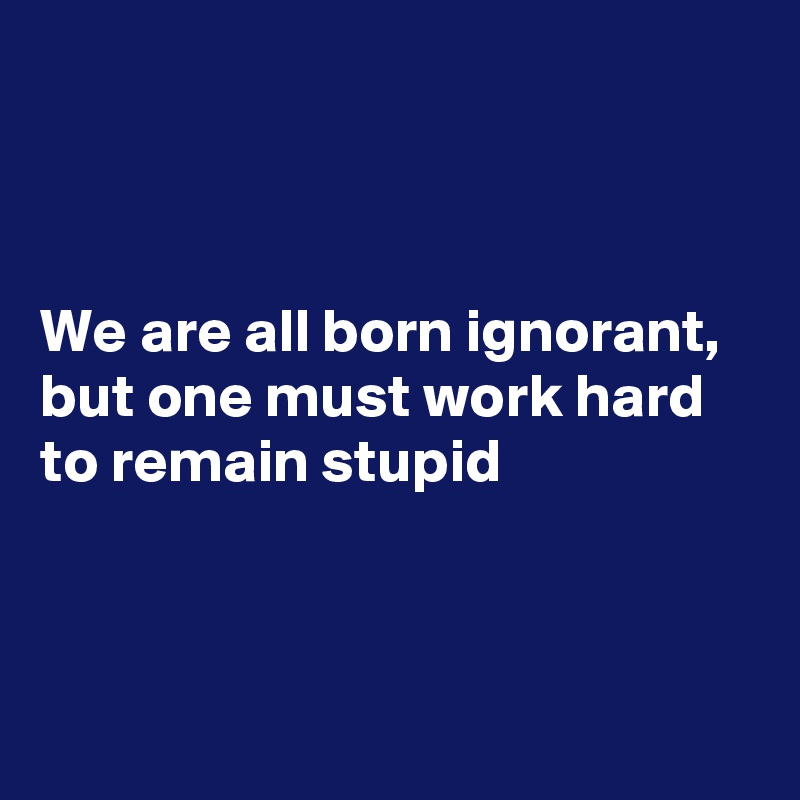 



We are all born ignorant, but one must work hard to remain stupid 



