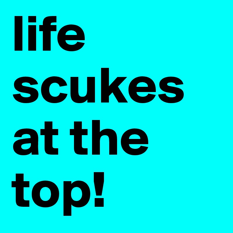 life scukes
at the top!