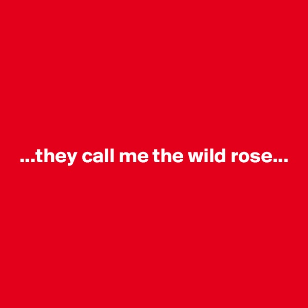 





 ...they call me the wild rose...




