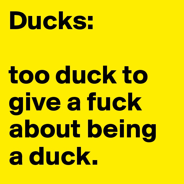 Ducks: 

too duck to give a fuck about being a duck. 