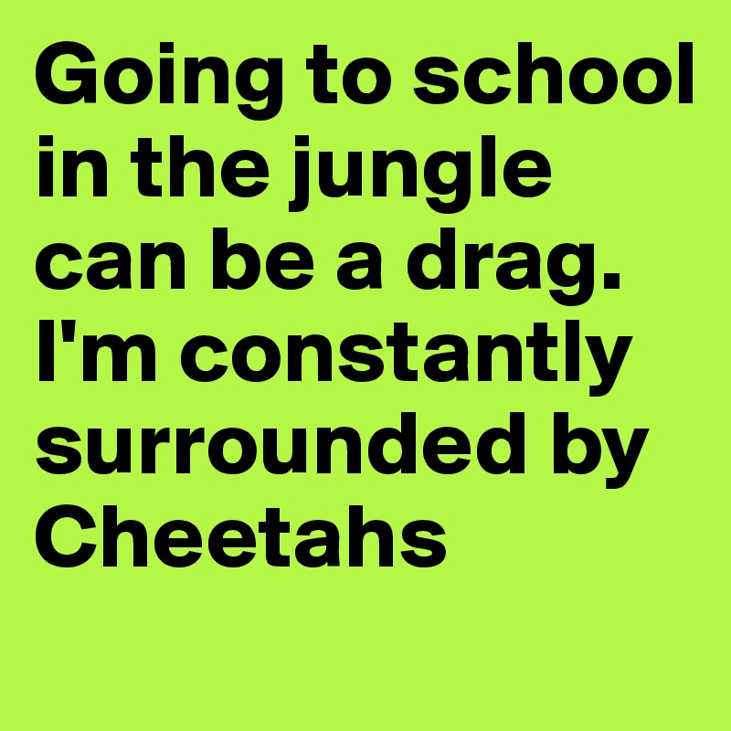 Going to school in the jungle can be a drag. I'm constantly surrounded by Cheetahs