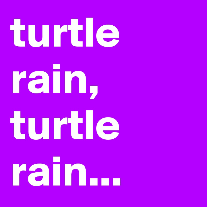 turtle rain,
turtle rain...