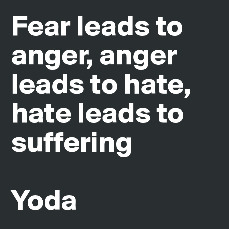 Fear leads to anger, anger leads to hate, hate leads to suffering

Yoda