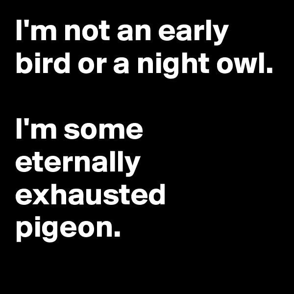 I'm not an early bird or a night owl.

I'm some eternally exhausted pigeon.
