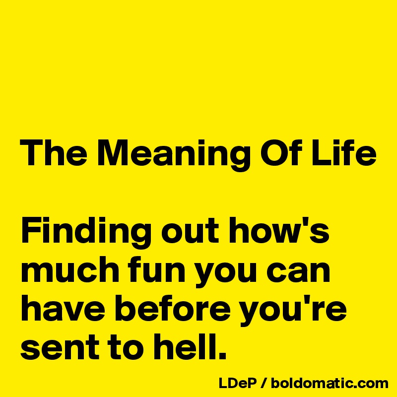 


The Meaning Of Life

Finding out how's much fun you can have before you're sent to hell. 