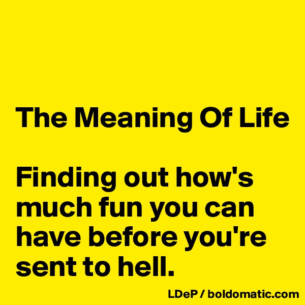 


The Meaning Of Life

Finding out how's much fun you can have before you're sent to hell. 