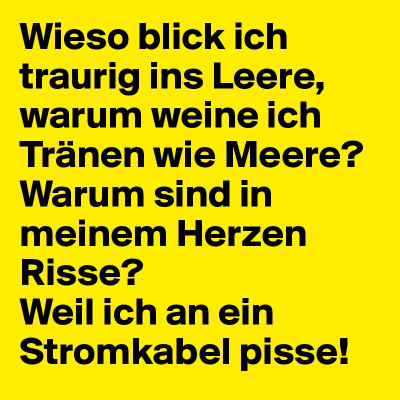 Wieso blick ich traurig ins Leere,
warum weine ich Tränen wie Meere?
Warum sind in meinem Herzen Risse?
Weil ich an ein Stromkabel pisse!