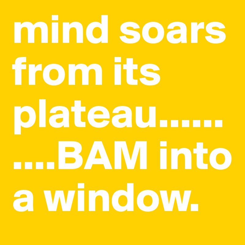 mind soars from its plateau..........BAM into a window.