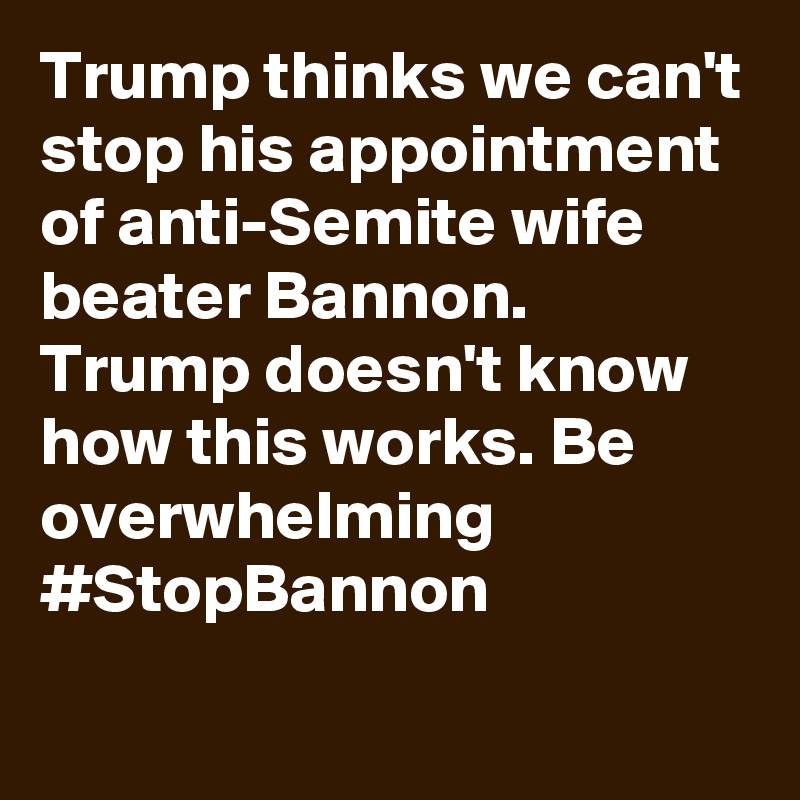 Trump thinks we can't stop his appointment of anti-Semite wife beater Bannon. Trump doesn't know how this works. Be overwhelming #StopBannon