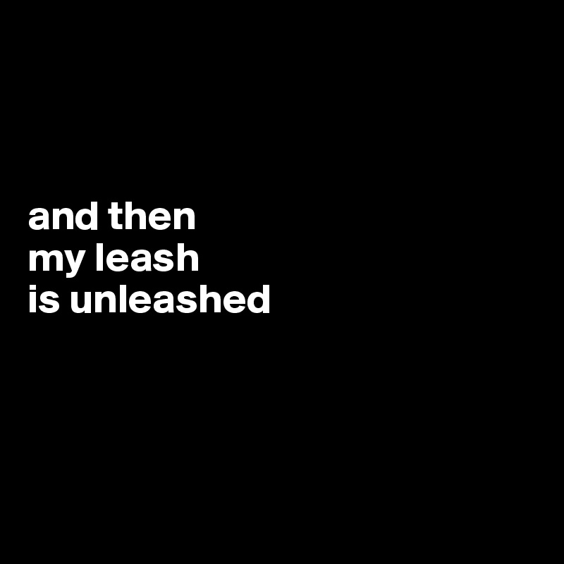 



and then
my leash
is unleashed




