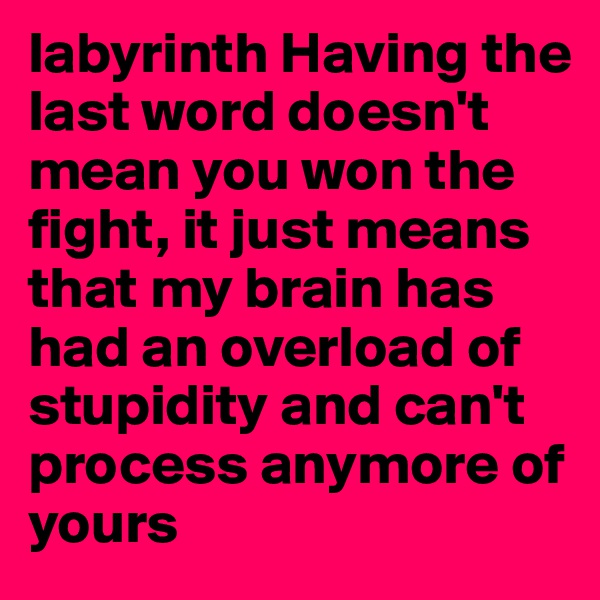 labyrinth Having the last word doesn't mean you won the fight, it just means that my brain has had an overload of stupidity and can't process anymore of yours
