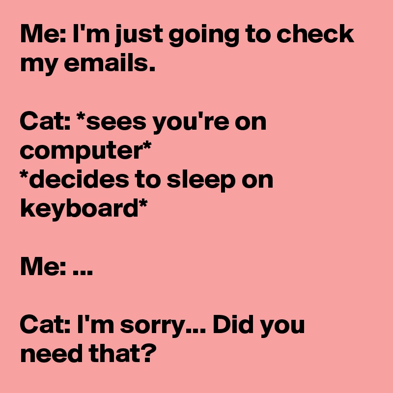 Me: I'm just going to check my emails.

Cat: *sees you're on computer* 
*decides to sleep on keyboard*

Me: ...

Cat: I'm sorry... Did you need that?