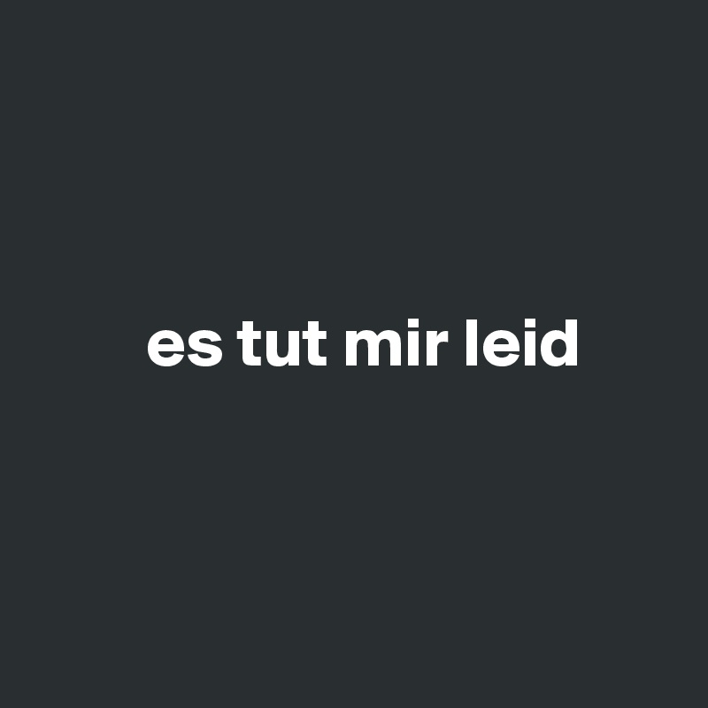 



        es tut mir leid



