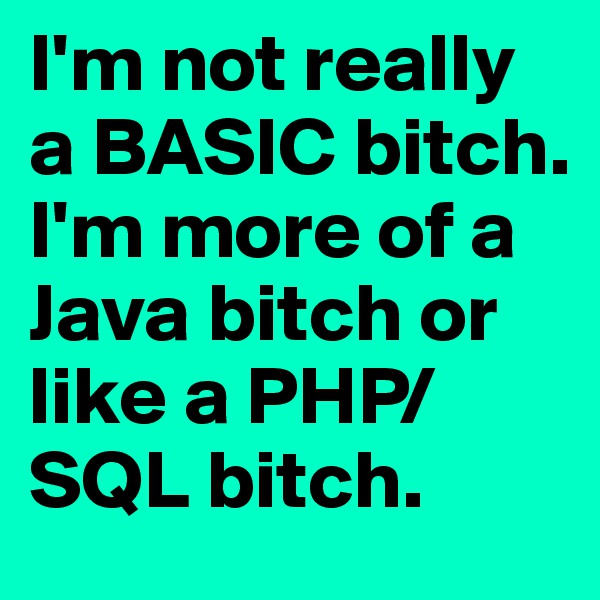I'm not really a BASIC bitch. I'm more of a Java bitch or like a PHP/SQL bitch. 