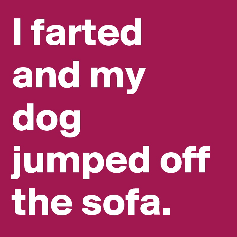 I farted and my dog jumped off the sofa. 