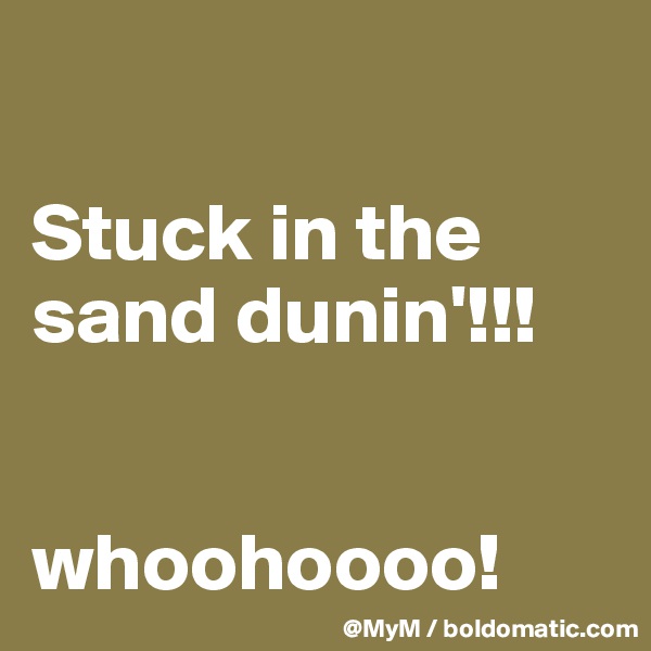 

Stuck in the sand dunin'!!!


whoohoooo!