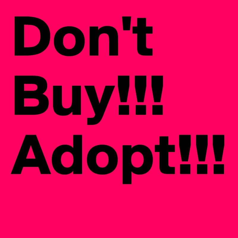Don't Buy!!! Adopt!!!