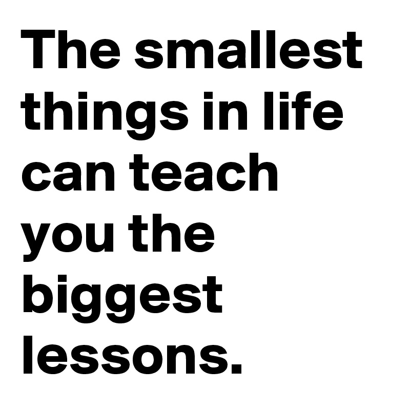The smallest things in life can teach you the biggest lessons.