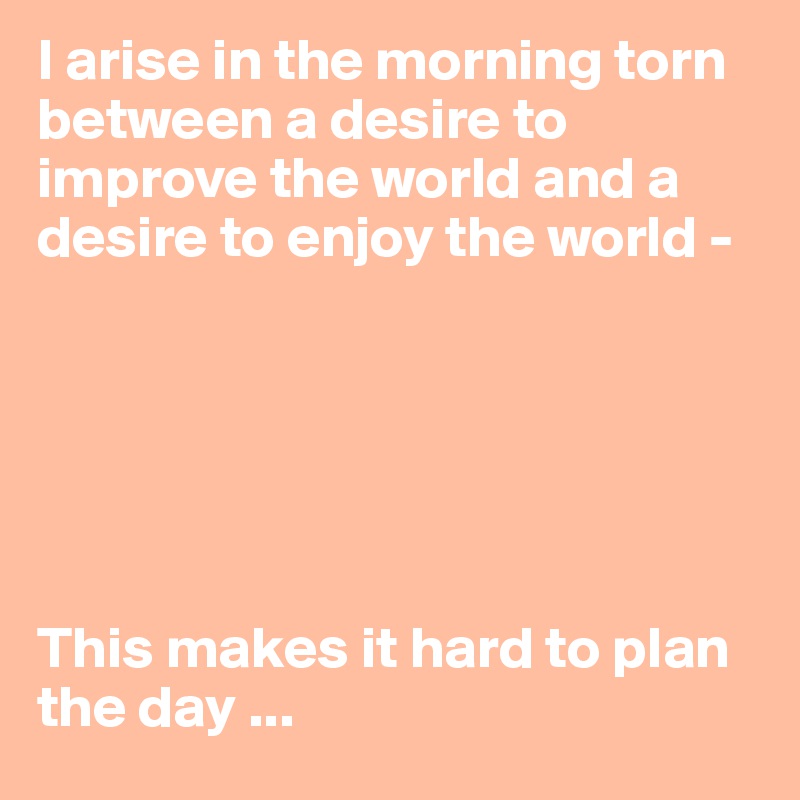 I arise in the morning torn between a desire to improve the world and a desire to enjoy the world - 






This makes it hard to plan the day ...