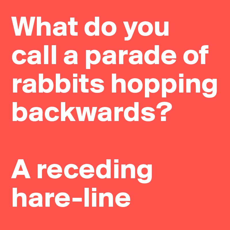 What do you call a parade of rabbits hopping backwards?

A receding hare-line