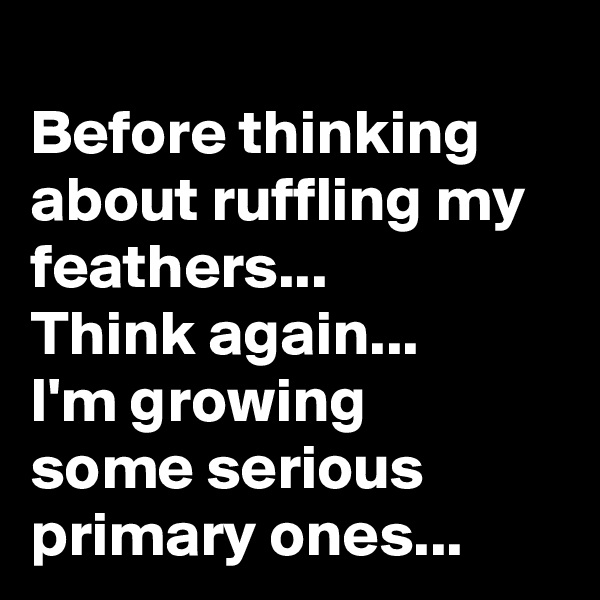 
Before thinking about ruffling my feathers...
Think again...
I'm growing 
some serious primary ones...