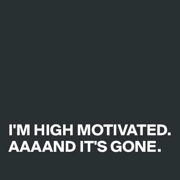 






I'M HIGH MOTIVATED.
AAAAND IT'S GONE.