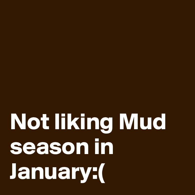 



Not liking Mud season in January:(