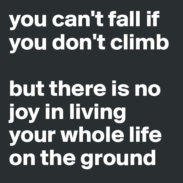 you can't fall if you don't climb

but there is no joy in living your whole life on the ground 