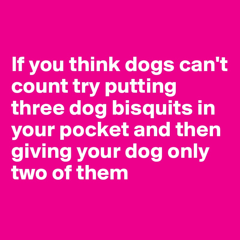 

If you think dogs can't count try putting three dog bisquits in your pocket and then giving your dog only two of them
