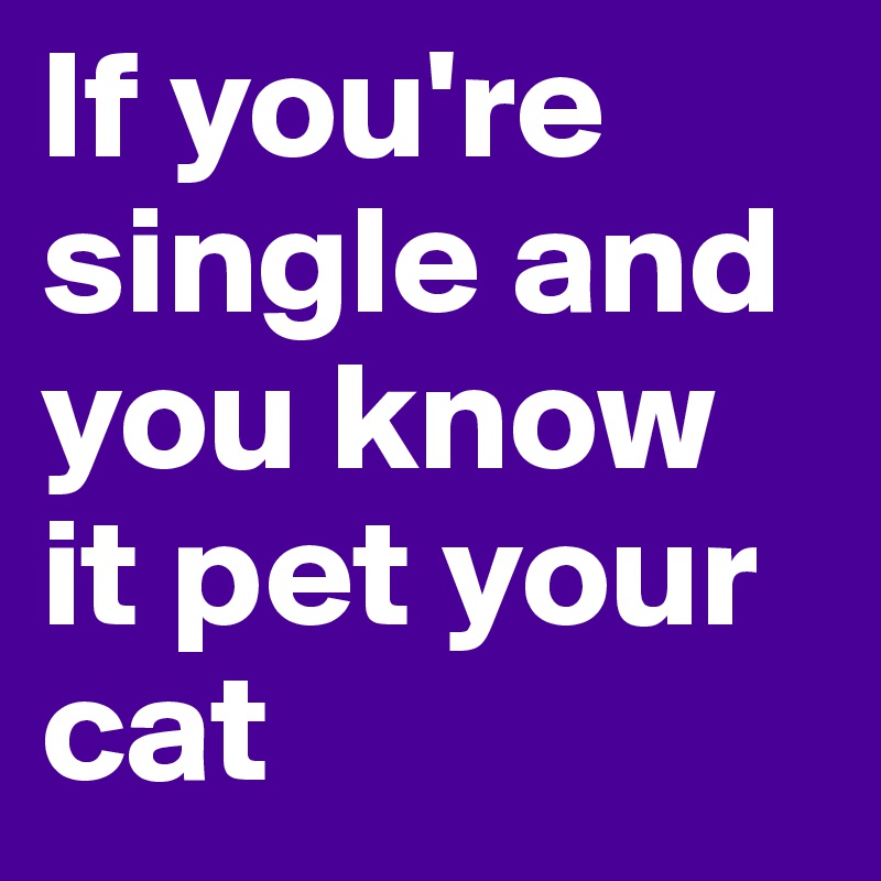 If you're single and you know it pet your cat 