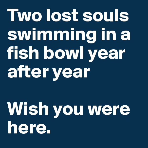 Two lost souls swimming in a fish bowl year after year

Wish you were here.