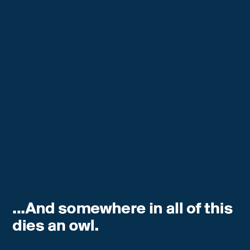 










...And somewhere in all of this dies an owl.