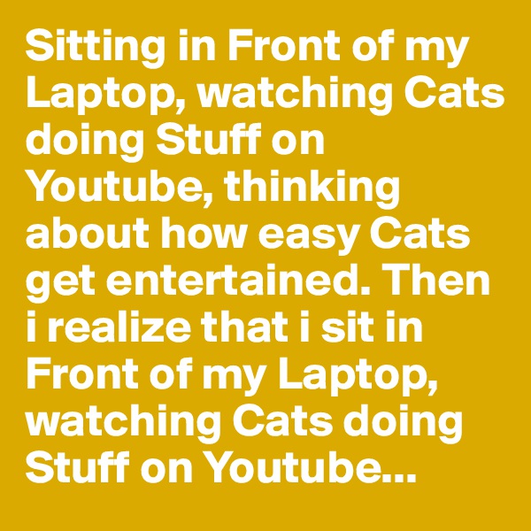 Sitting in Front of my Laptop, watching Cats doing Stuff on Youtube, thinking about how easy Cats get entertained. Then i realize that i sit in Front of my Laptop, watching Cats doing Stuff on Youtube...