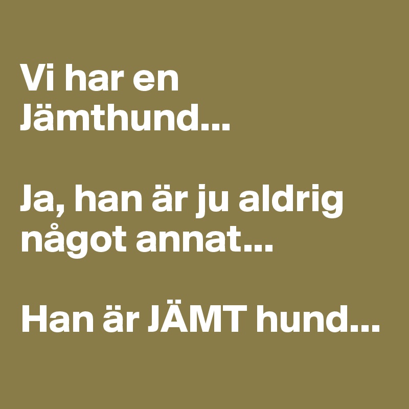
Vi har en Jämthund...

Ja, han är ju aldrig något annat...

Han är JÄMT hund...
