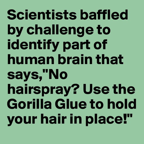 Scientists baffled  by challenge to identify part of human brain that says,"No hairspray? Use the Gorilla Glue to hold your hair in place!"