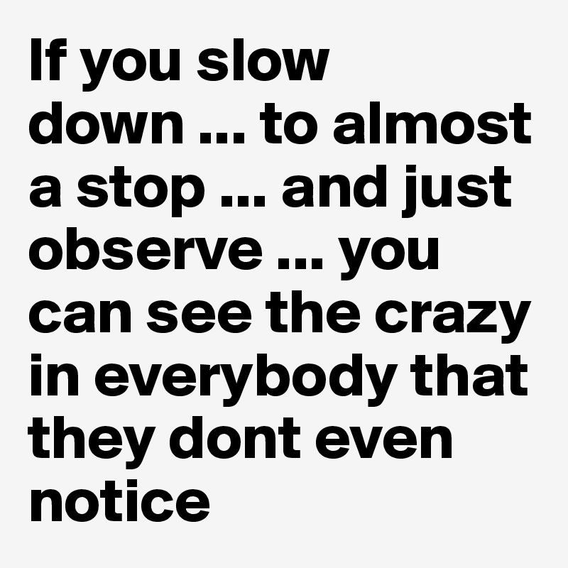 If you slow down ... to almost a stop ... and just observe ... you can see the crazy in everybody that they dont even notice