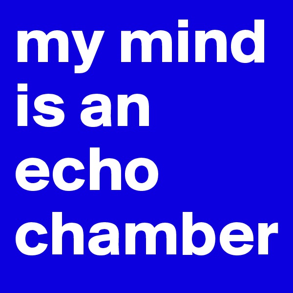 my mind is an echo chamber