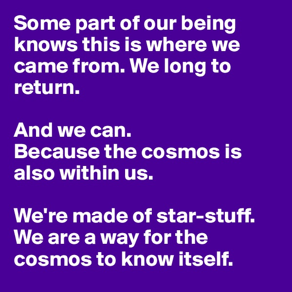 Some part of our being knows this is where we came from. We long to return. 

And we can. 
Because the cosmos is also within us. 

We're made of star-stuff. We are a way for the cosmos to know itself.