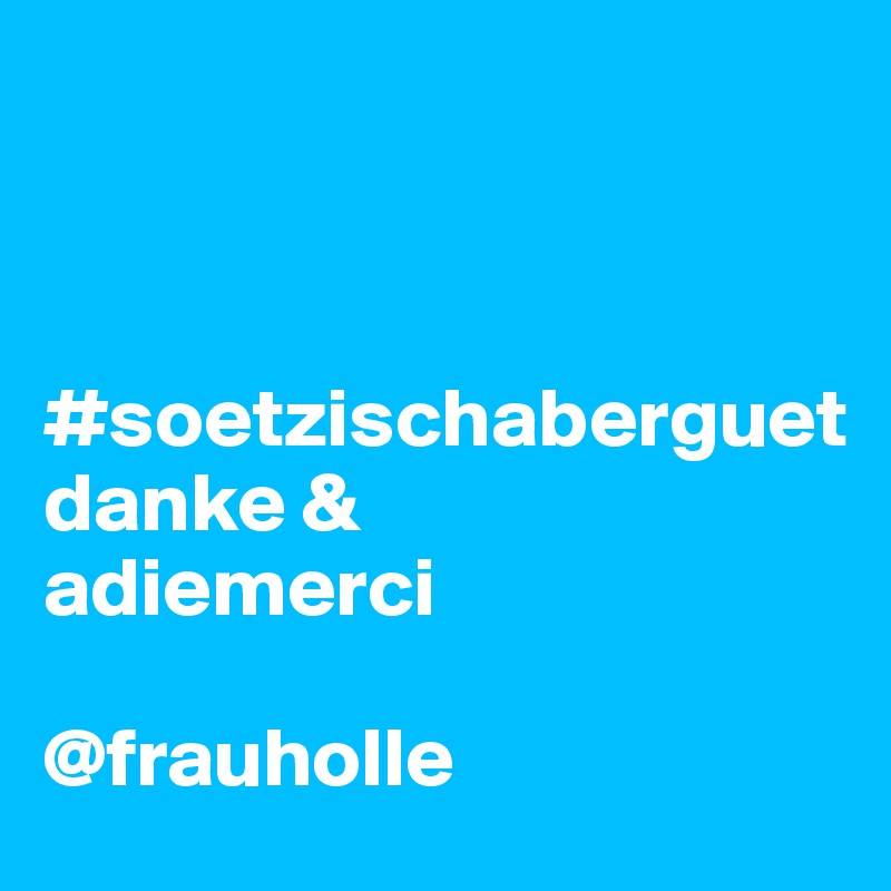 



#soetzischaberguet
danke &
adiemerci

@frauholle