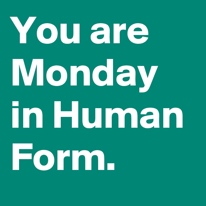 You are Monday in Human Form.