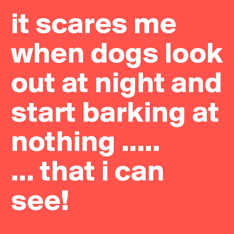 it scares me when dogs look out at night and start barking at nothing .....             ... that i can see!